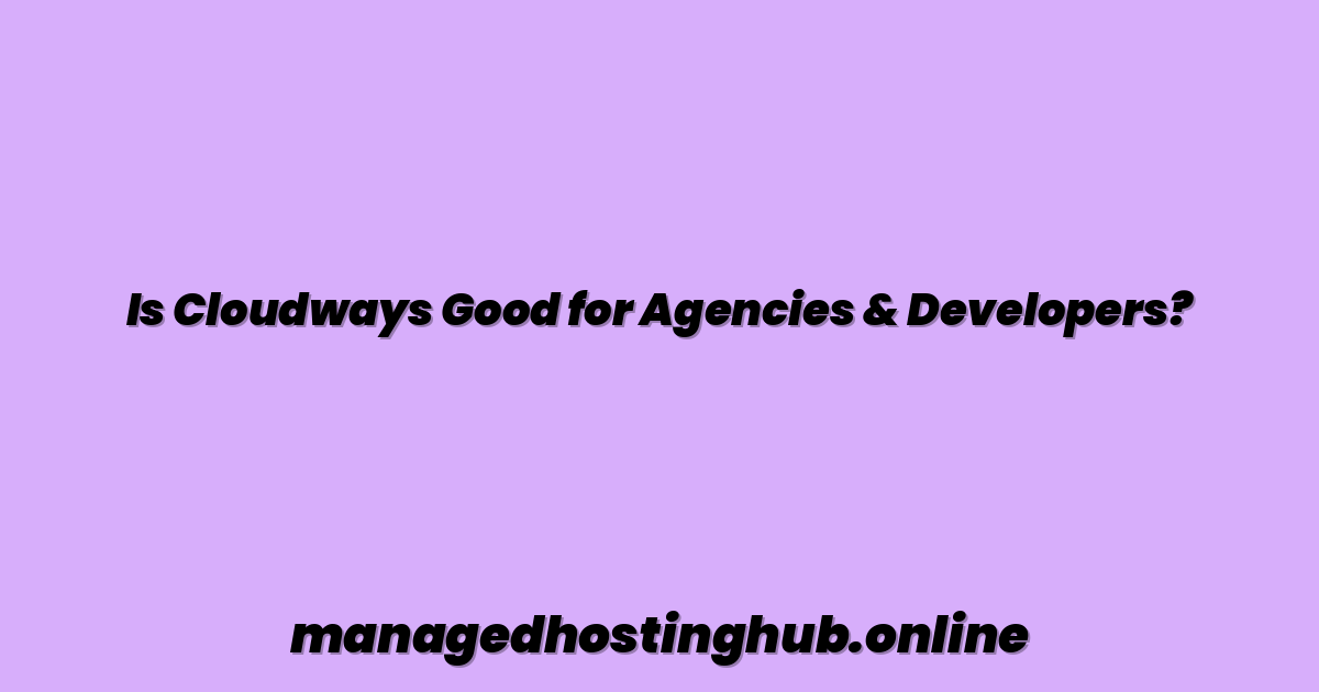 Is Cloudways Good for Agencies & Developers?